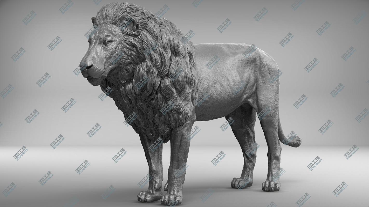 images/goods_img/2021040234/Lion Realistic 3D/4.jpg